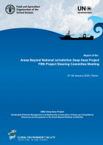 Report of the Areas Beyond National Jurisdiction Deep Seas Project Fifth Project Steering Committee Meeting